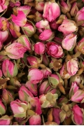 Boutons de Rose