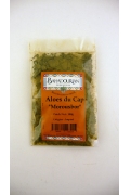 Aloes du Cap 