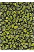 Pistaches �mond�es Extra-Vertes