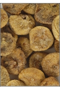 Figues S�ch�es Lerida 