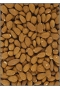 Amandes D�cortiqu�es