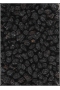Raisins Secs Noirs de Corinthe