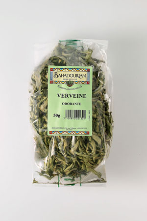 Verveine Odorante