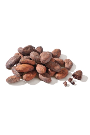 Fèves de Cacao 