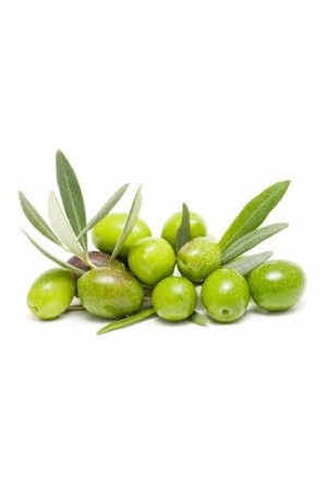 Olives Vertes Entière de Sicile 