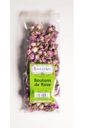 Boutons de Rose