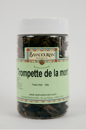 Trompette de la Mort