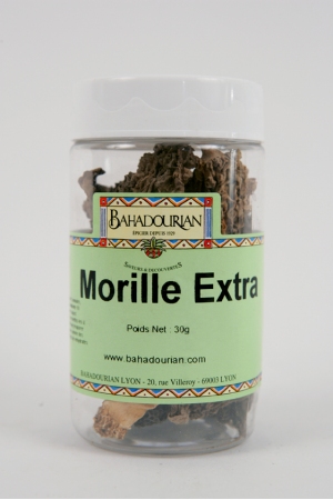 Morille Extra