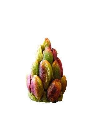 Pâtisserie Orientale à La Pistache