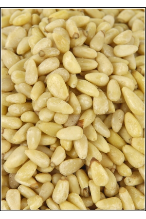 Pignons de Pin d'Espagne