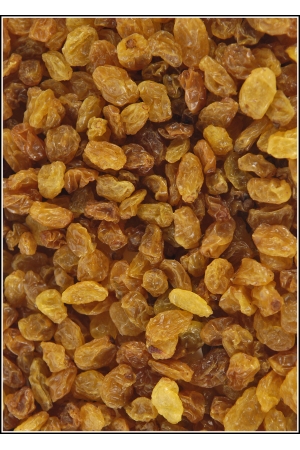 Raisins Secs Golden Afrique du Sud