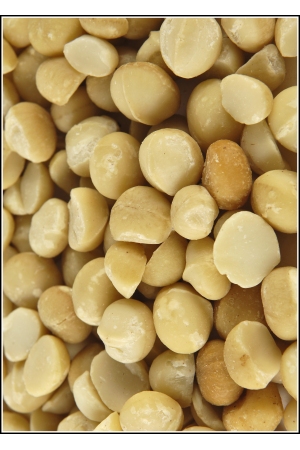 Noix de Macadamia Salées